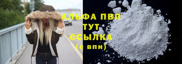 гидра Абаза