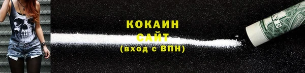 гидра Абаза