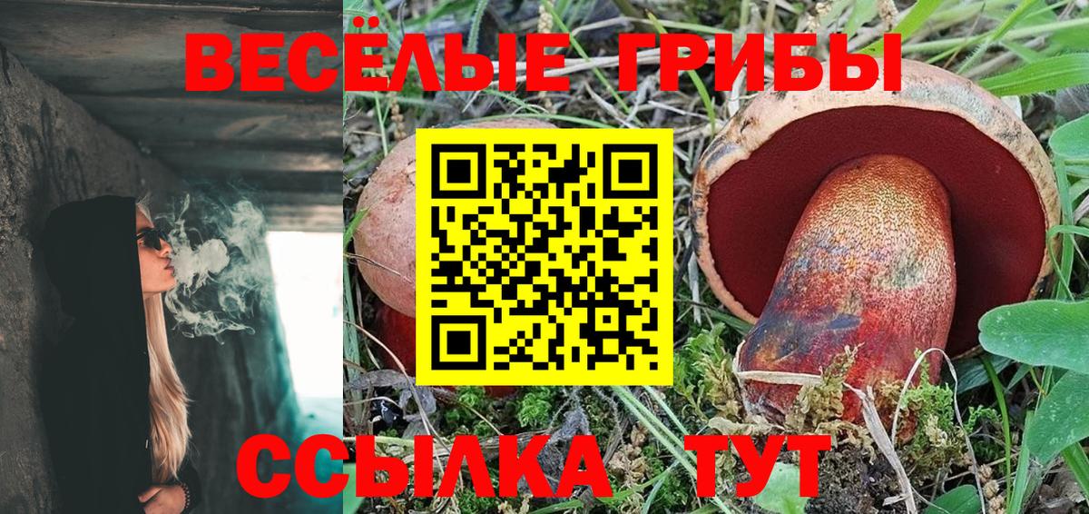 Сатка  Псилоцибиновые грибы Magic Shrooms  Вход с VPN 